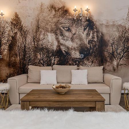 Aki Studio Silver Mountain Пояна-Брашов Екстер'єр фото