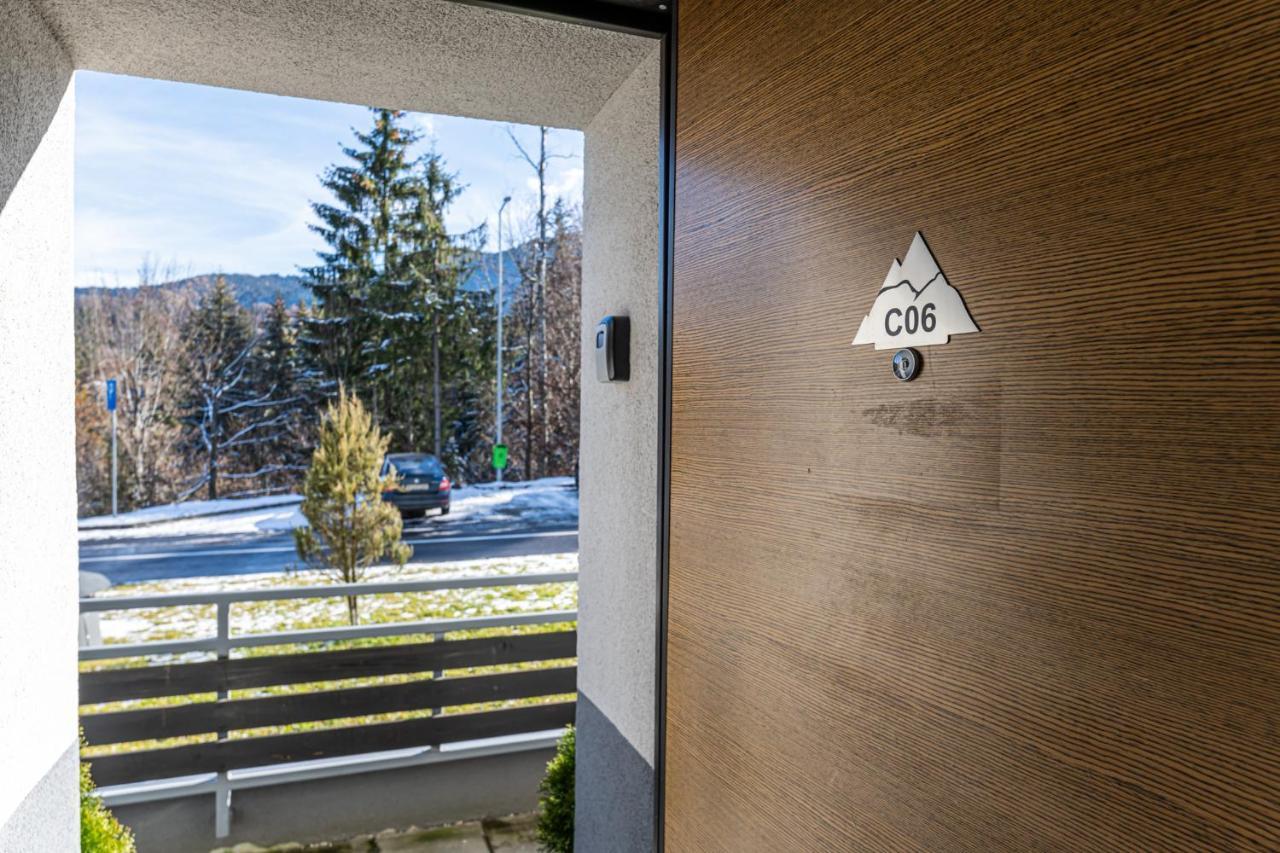 Aki Studio Silver Mountain Пояна-Брашов Екстер'єр фото